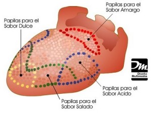 lengua con sabores