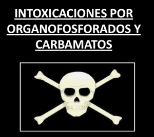 organofosforados